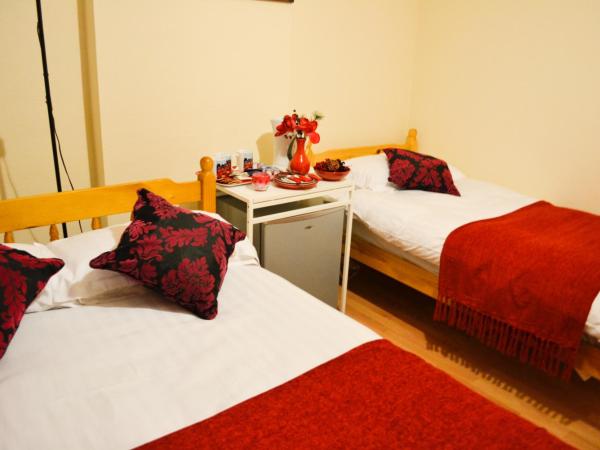 City London Hotel : photo 10 de la chambre chambre lits jumeaux