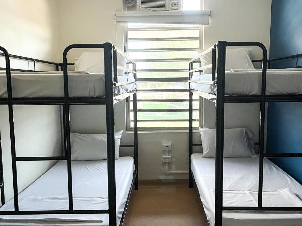 MOM Darwin : photo 1 de la chambre dortoir mixte de 4 lits - réservé aux adultes