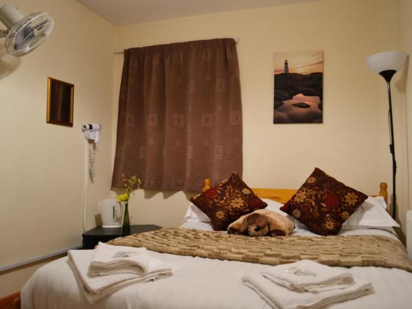 City London Hotel : photo 5 de la chambre chambre double avec salle de bains commune