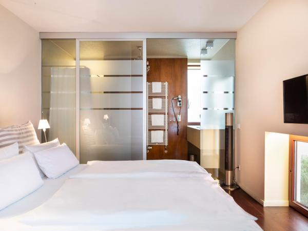 numa I Belfort Rooms & Apartments : photo 10 de la chambre extra large studio with kitchenette, terrace and sofa bed