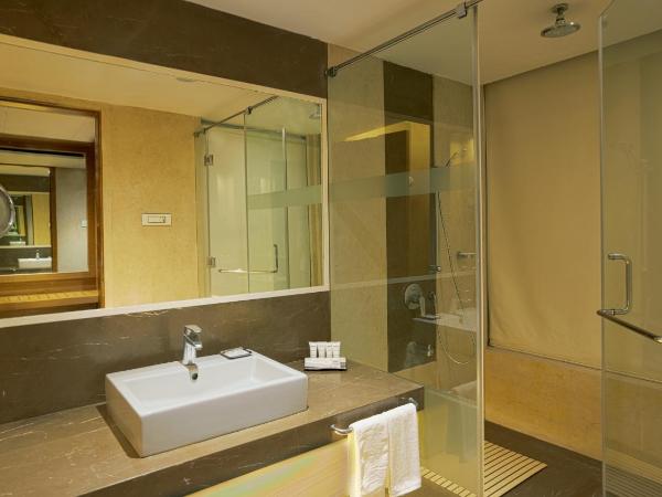 Radisson Udaipur : photo 6 de la chambre deluxe room-enjoy 20% off on food & soft beverages and spa