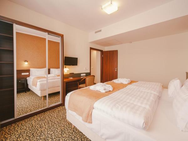 Park Hotel Hévíz : photo 1 de la chambre chambre double ou lits jumeaux premium