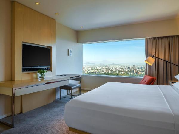 Hyatt Regency Mexico City : photo 3 de la chambre suite lit king-size