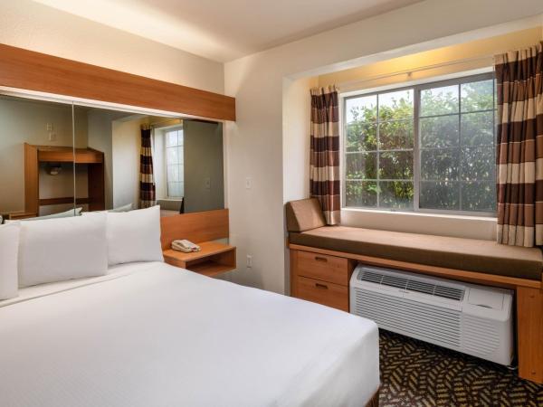 Microtel Inn & Suites by Wyndham Salt Lake City Airport : photo 7 de la chambre chambre lit king-size standard - pour personnes à mobilité réduite/non-fumeurs