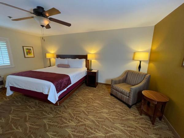 Governors Inn Hotel Sacramento : photo 4 de la chambre chambre lit king-size