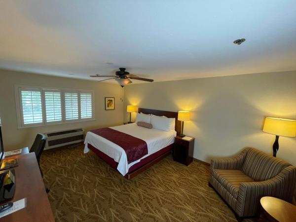 Governors Inn Hotel Sacramento : photo 4 de la chambre studio lit king-size avec canapé-lit et micro-ondes