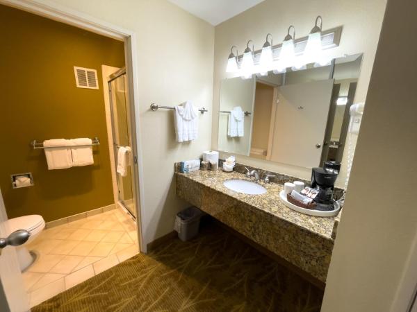 Governors Inn Hotel Sacramento : photo 5 de la chambre studio lit king-size avec canapé-lit et micro-ondes