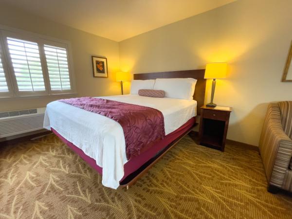 Governors Inn Hotel Sacramento : photo 5 de la chambre studio lit king-size avec canapé-lit et micro-ondes