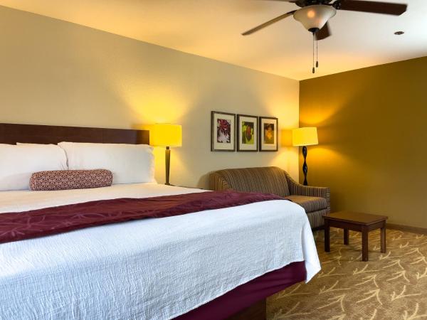 Governors Inn Hotel Sacramento : photo 2 de la chambre studio lit king-size avec canapé-lit et micro-ondes