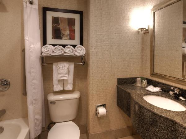 Holiday Inn North Quail Springs, an IHG Hotel : photo 2 de la chambre chambre lit king-size standard