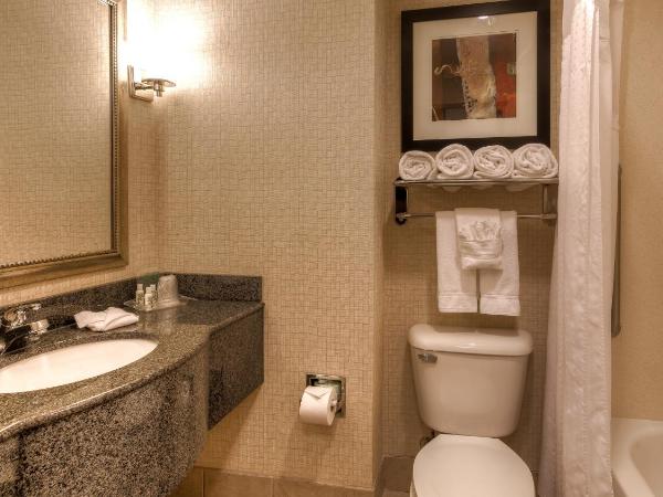 Holiday Inn North Quail Springs, an IHG Hotel : photo 6 de la chambre suite 1 chambre lit king-size avec canapé-lit