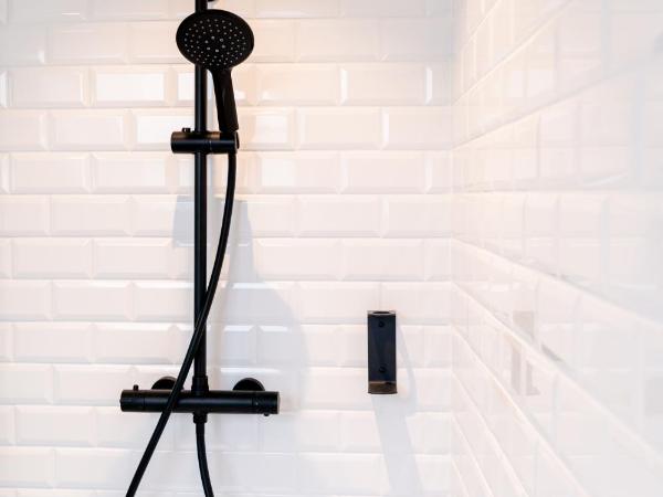 Espace 43 - Les 7 chambres : photo 1 de la chambre appartement en duplex