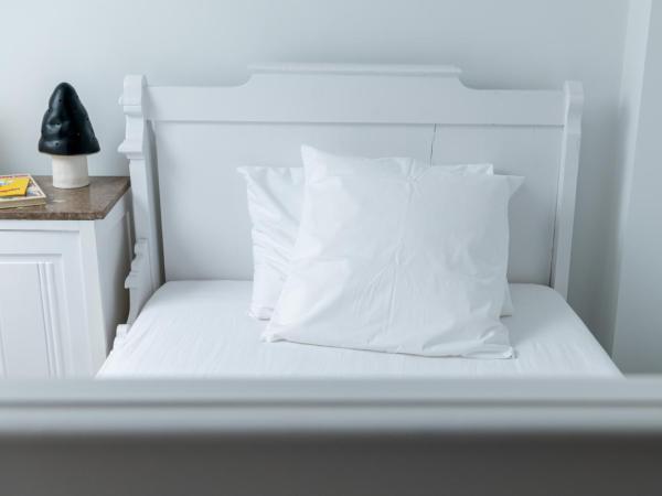 Espace 43 - Les 7 chambres : photo 2 de la chambre appartement en duplex