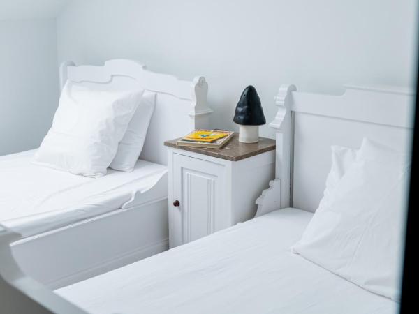 Espace 43 - Les 7 chambres : photo 10 de la chambre appartement en duplex