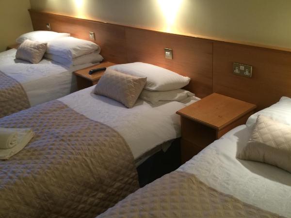 Holiday Hotel : photo 3 de la chambre chambre familiale (2 adultes et 2 enfants)