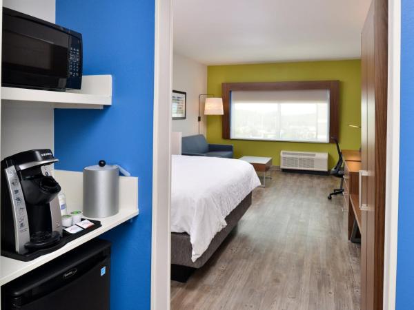 Holiday Inn Express Orlando - South Park, an IHG Hotel : photo 10 de la chambre chambre lit king-size standard avec canapé-lit - non-fumeurs