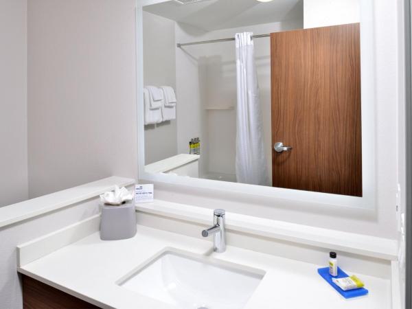 Holiday Inn Express Orlando - South Park, an IHG Hotel : photo 7 de la chambre chambre standard