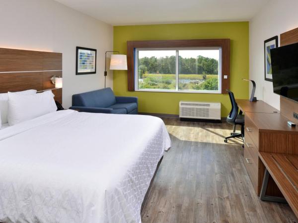 Holiday Inn Express Orlando - South Park, an IHG Hotel : photo 6 de la chambre suite lit king-size adaptée aux personnes malentendantes - non-fumeurs
