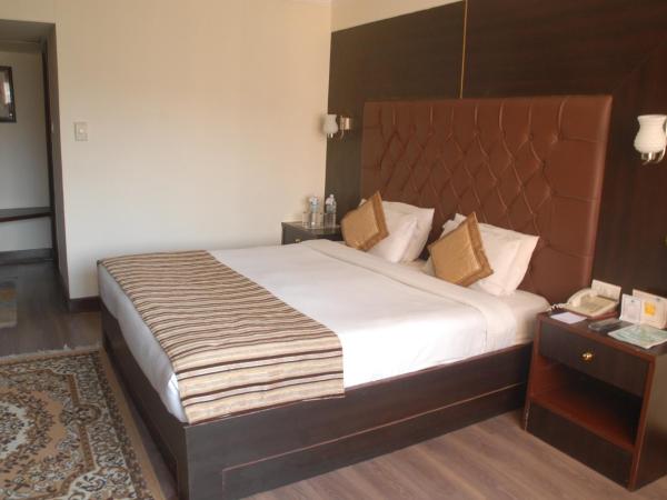 Hotel Vaishali : photo 1 de la chambre suite exécutive