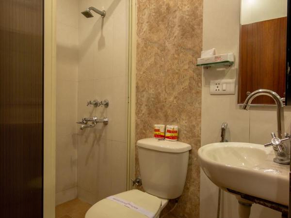 Hotel Aster Inn New Delhi : photo 3 de la chambre chambre deluxe