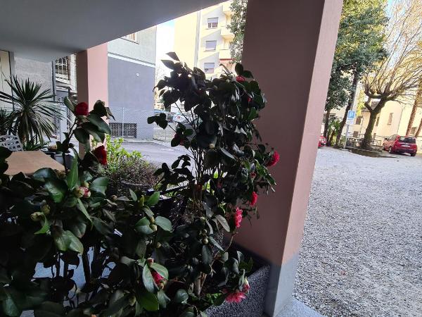 @ Home Hotel Locarno : photo 10 de la chambre suite double standard