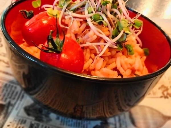 MUSTANG INN am Großen Garten : photo 8 de la chambre chambre simple