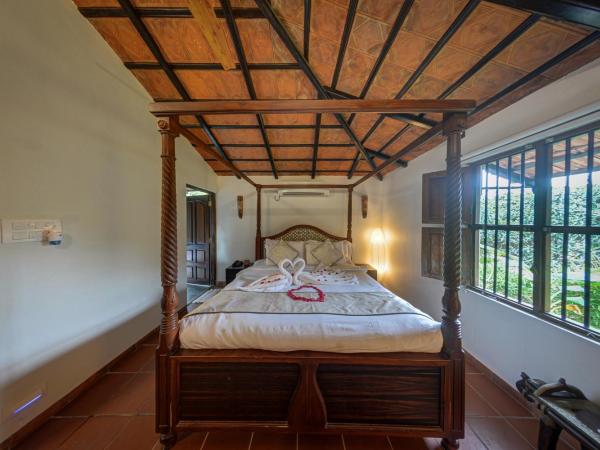 Brown Town Resort & Spa : photo 6 de la chambre suite supérieure lit king-size