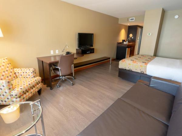 Hotel Must : photo 4 de la chambre chambre avec 2 grands lits queen-size