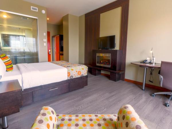 Hotel Must : photo 1 de la chambre chambre double standard avec douche