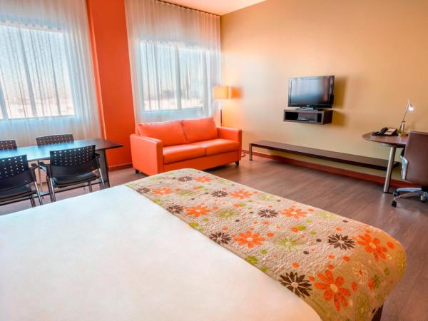 Hotel Must : photo 6 de la chambre chambre familiale avec 2 lits queen-size et 1 canapé-lit