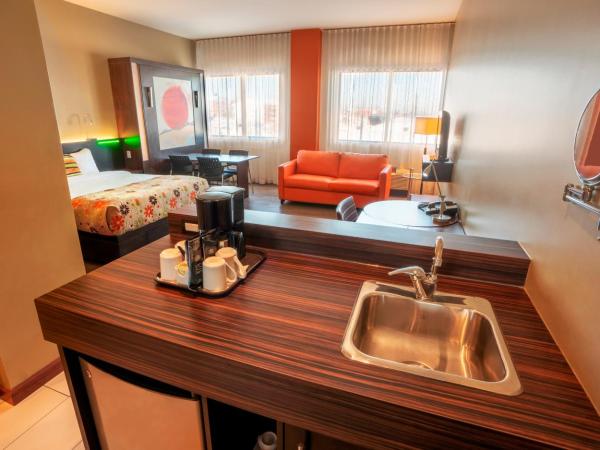 Hotel Must : photo 7 de la chambre chambre familiale avec 2 lits queen-size et 1 canapé-lit