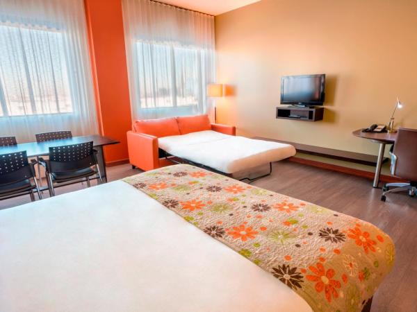 Hotel Must : photo 5 de la chambre chambre familiale avec 2 lits queen-size et 1 canapé-lit