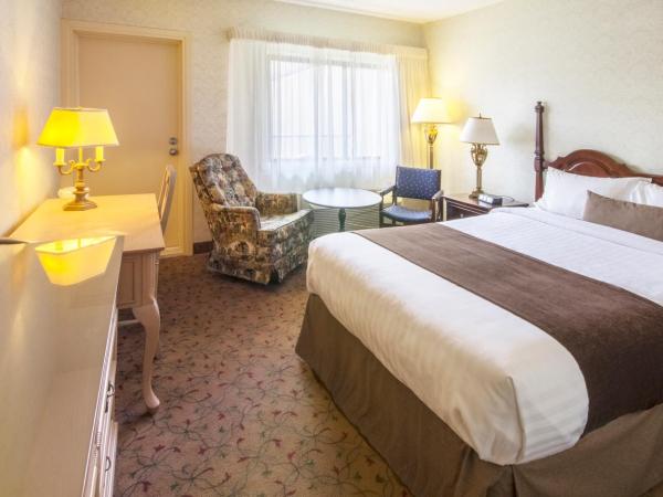 Auberge Québec : photo 1 de la chambre chambre double standard