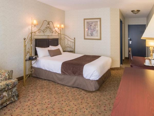 Auberge Québec : photo 1 de la chambre chambre standard lit queen-size
