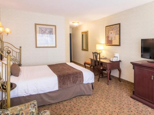 Auberge Québec : photo 2 de la chambre chambre standard lit queen-size