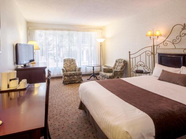 Auberge Québec : photo 3 de la chambre chambre standard lit queen-size