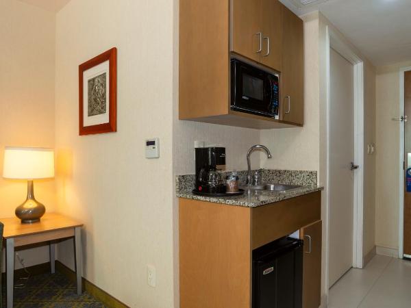 Holiday Inn Express & Suites Cuernavaca, an IHG Hotel : photo 1 de la chambre suite lit king-size avec canapé-lit