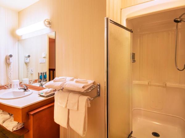 Auberge Québec : photo 8 de la chambre suite familiale