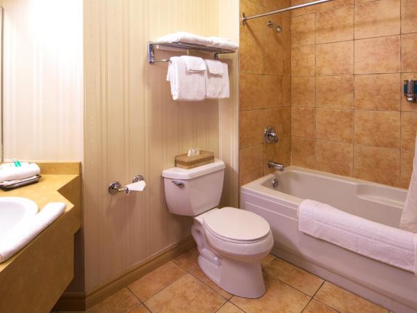 Auberge Québec : photo 6 de la chambre chambre lit queen-size avec canapé-lit et kitchenette