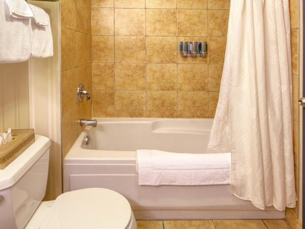 Auberge Québec : photo 5 de la chambre chambre lit queen-size avec canapé-lit et kitchenette