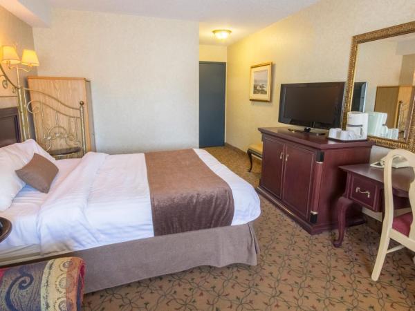 Auberge Québec : photo 3 de la chambre chambre lit queen-size avec canapé-lit