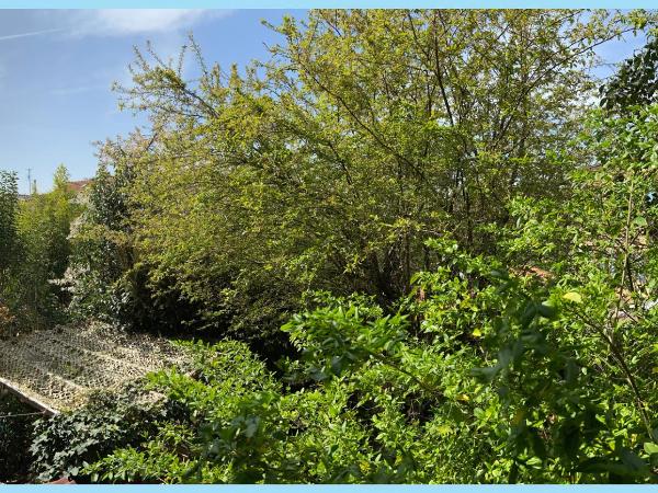 La Bulle dans le Palmier : photo 4 de la chambre chambre double avec salle de bains privative