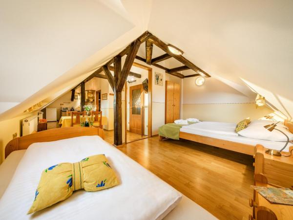 Penzion Gardena : photo 2 de la chambre appartement