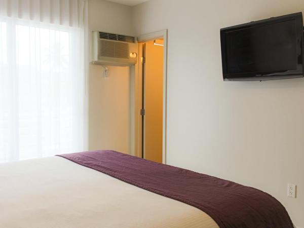 Collins Hotel : photo 3 de la chambre chambre lit king-size standard (sans frais de service)