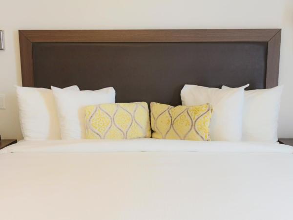 Collins Hotel : photo 4 de la chambre chambre lit king-size standard (sans frais de service)
