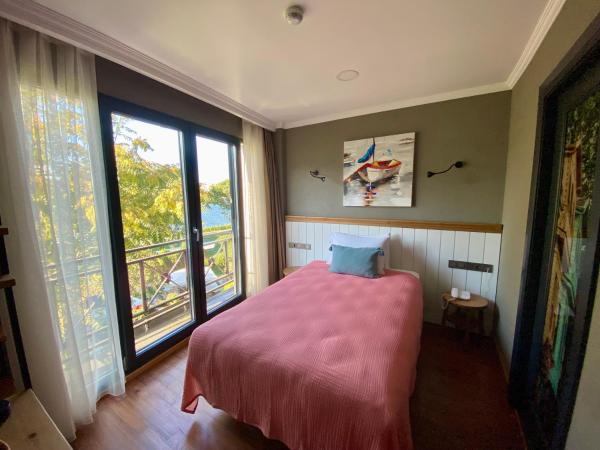 Istanbul Old City Colorful Houses Balat PETRION Hotel : photo 1 de la chambre chambre simple supérieure