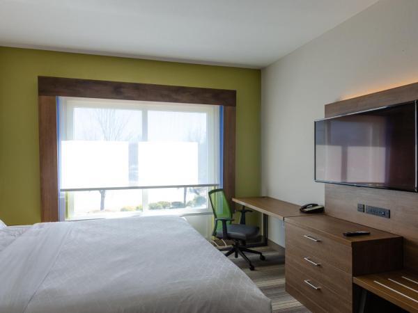 Holiday Inn Express Hotel & Suites Atlanta Airport West - Camp Creek, an IHG Hotel : photo 1 de la chambre chambre standard
