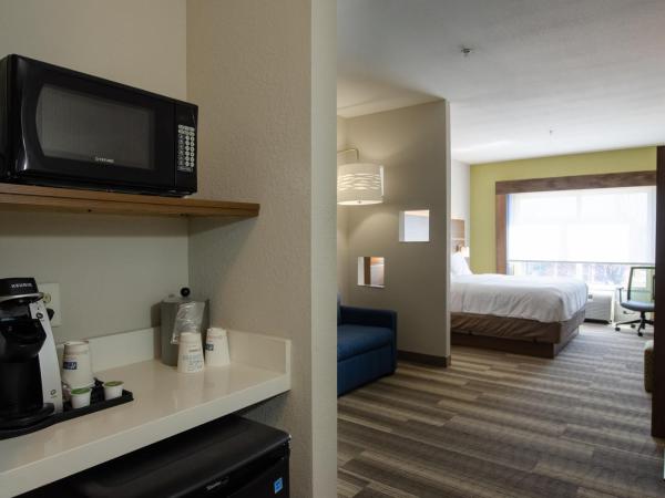 Holiday Inn Express Hotel & Suites Atlanta Airport West - Camp Creek, an IHG Hotel : photo 2 de la chambre suite lit king-size avec canapé-lit