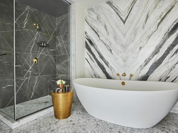 Sagamore Pendry Baltimore : photo 3 de la chambre studio port