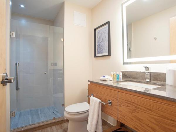 Candlewood Suites - Guadalajara Galerias, an IHG Hotel : photo 3 de la chambre suite studio lit king-size